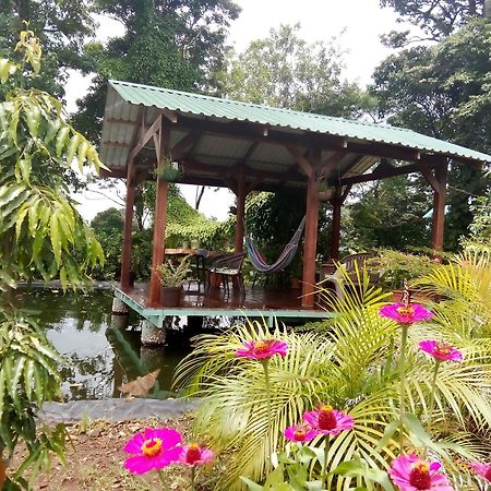 Greenhouse Loft Miravalles Aguas Claras  Zewnętrze zdjęcie