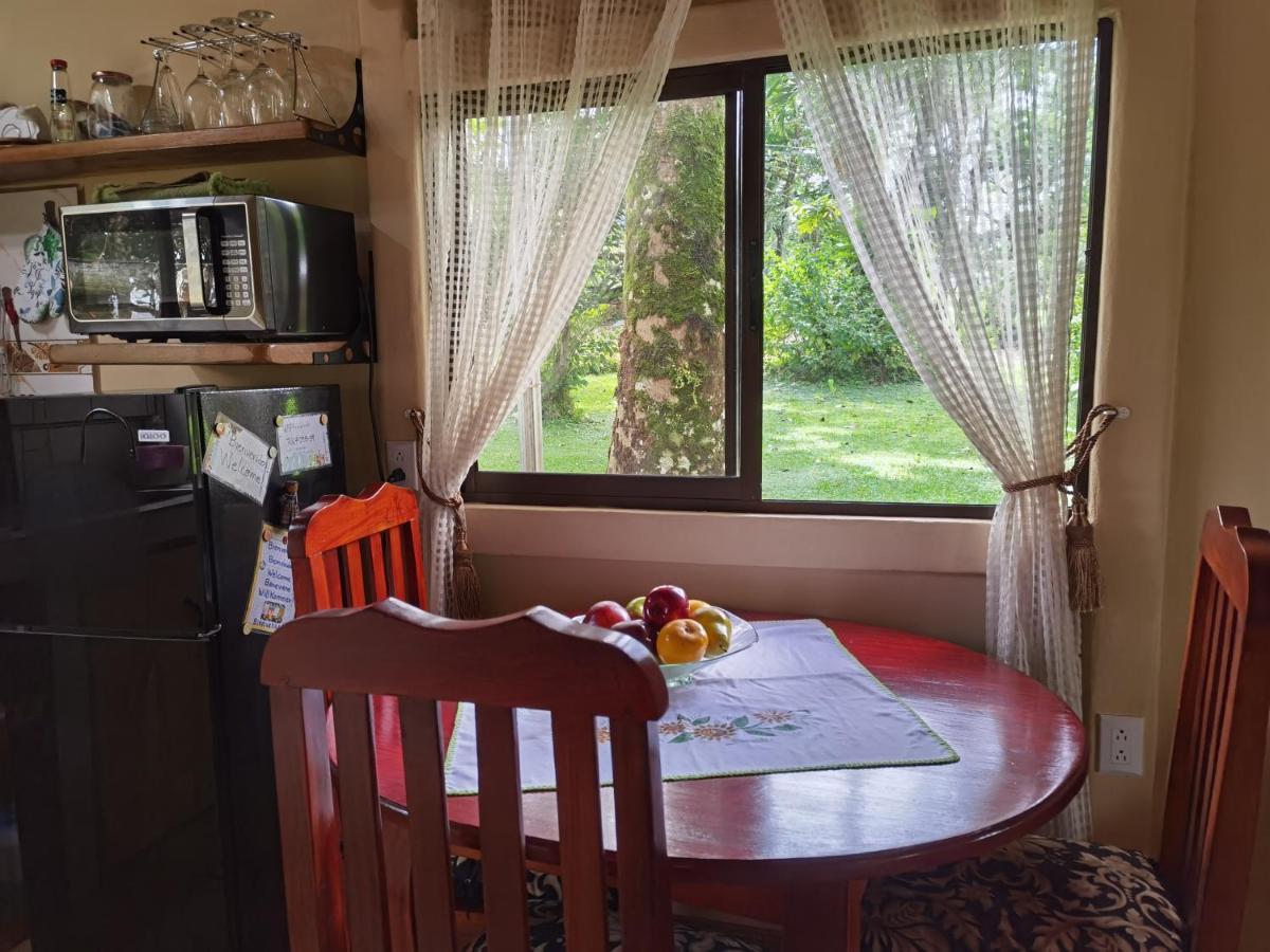 Greenhouse Loft Miravalles Aguas Claras  Zewnętrze zdjęcie