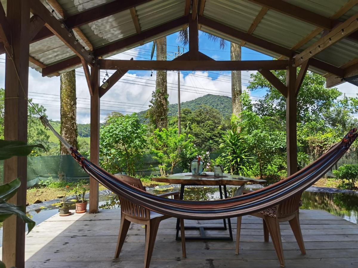Greenhouse Loft Miravalles Aguas Claras  Zewnętrze zdjęcie