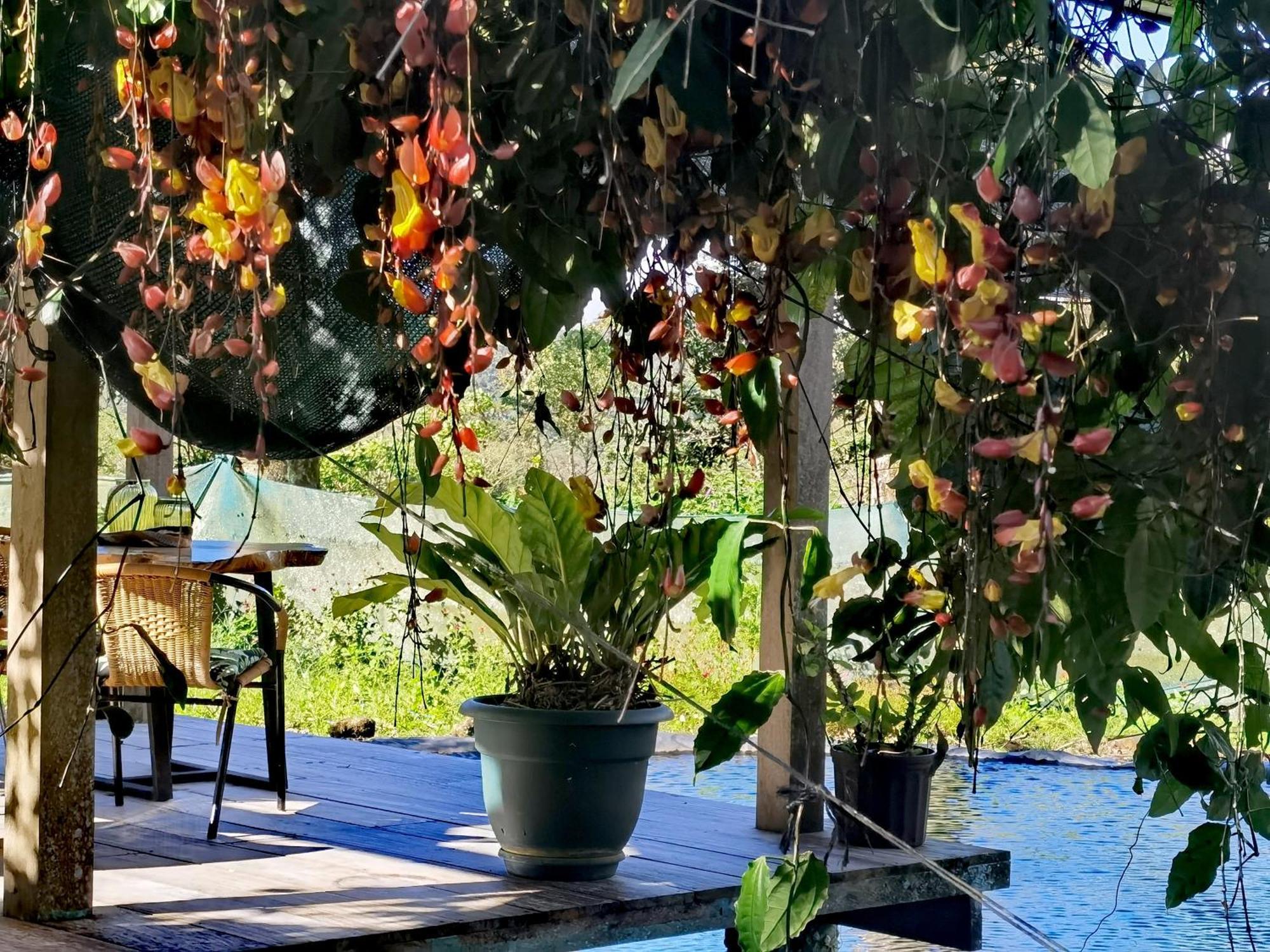 Greenhouse Loft Miravalles Aguas Claras  Zewnętrze zdjęcie