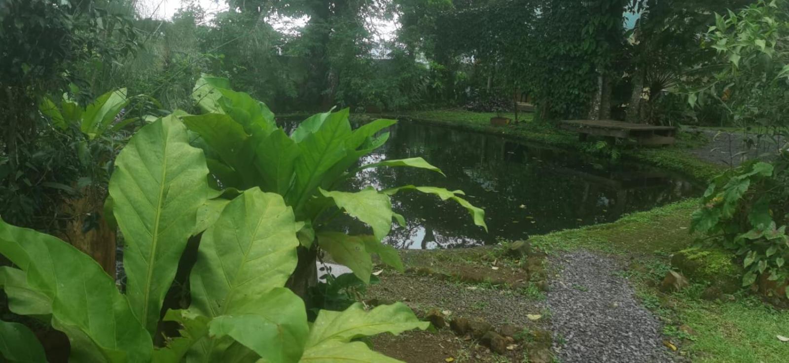 Greenhouse Loft Miravalles Aguas Claras  Zewnętrze zdjęcie