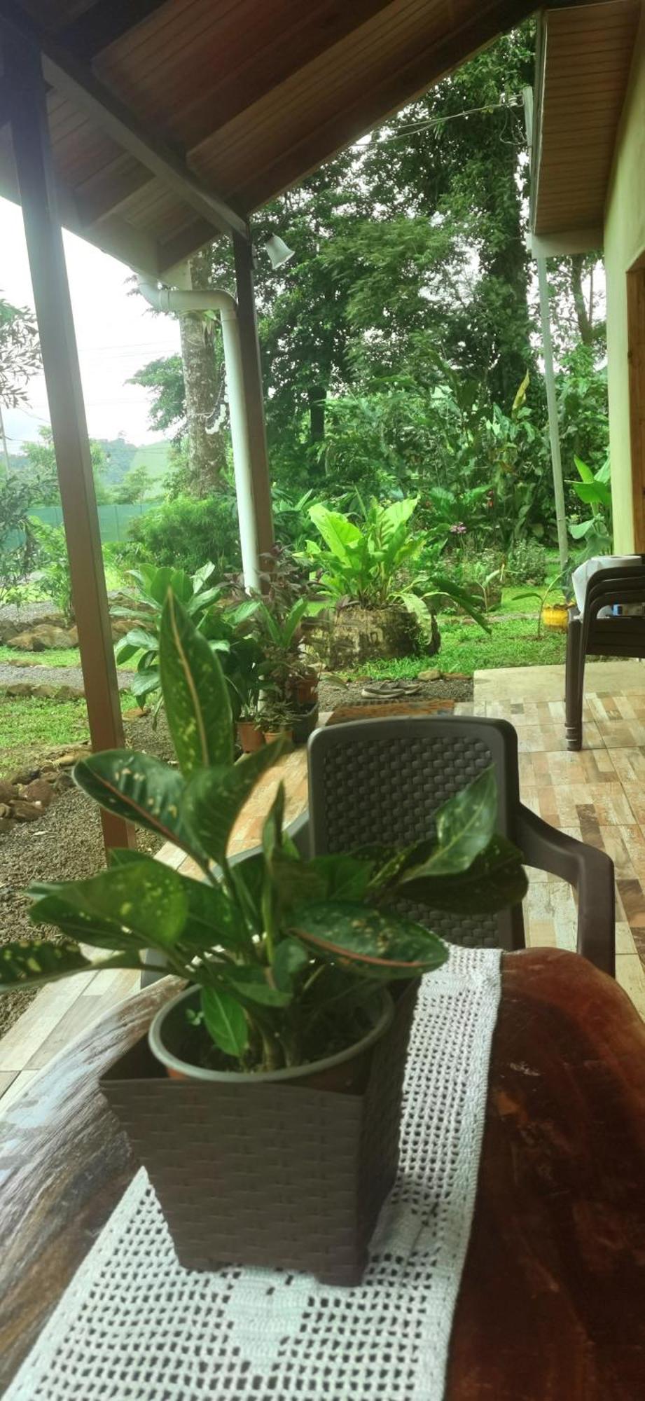 Greenhouse Loft Miravalles Aguas Claras  Zewnętrze zdjęcie