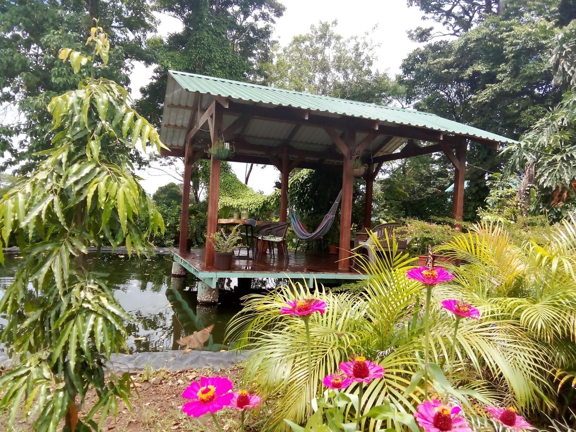 Greenhouse Loft Miravalles Aguas Claras  Zewnętrze zdjęcie